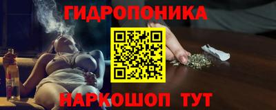 дживик Кимры