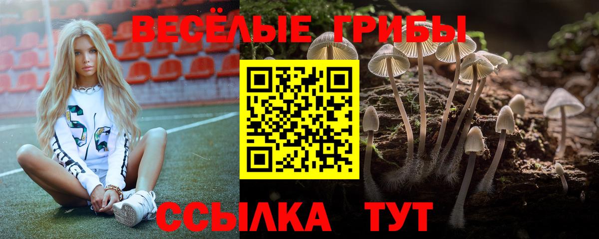 Псилоцибиновые грибы GOLDEN TEACHER  Вход с VPN  Псилоцибиновые грибы Psilocybine cubensis  Усть-Илимск 