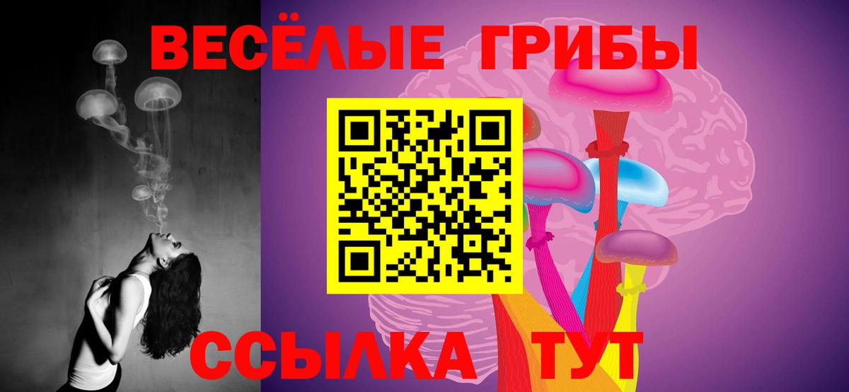Псилоцибиновые грибы Cubensis Усть-Илимск
